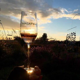 11371278_943620632361782_789138525_n