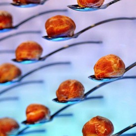 11379991_1674284796180886_901913043_n