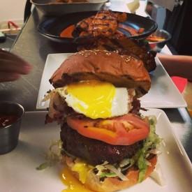 11906394_1684054118479873_2065042342_n