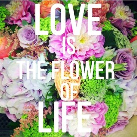 12139586_1543894955900893_2144752525_n