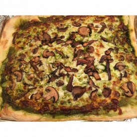 12145517_500168223489826_1455388269_n