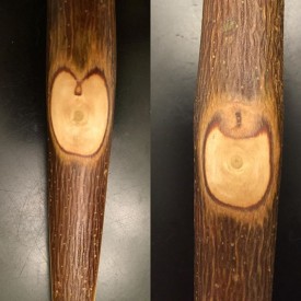 12224410_219220618428865_351759641_n