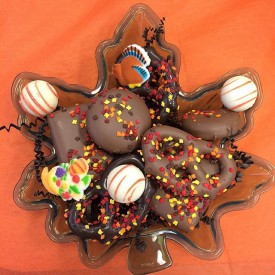 12224679_1794805014079885_236318610_n