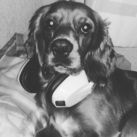 12230945_914456458624009_708604043_n