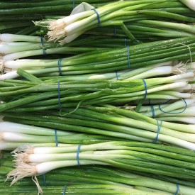 12231055_915317078534682_239276920_n