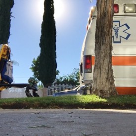 12237052_190837704589542_404708295_n