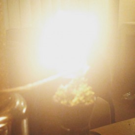 12237593_702306216536416_270841770_n