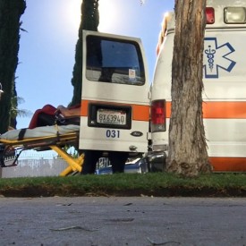 12277000_1644381189177827_623580686_n