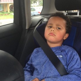 1530636_1103544253013173_729618346_n