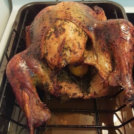 10401859_1718911675007532_1848365093_n