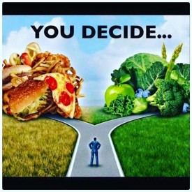 1170411_217138661952432_247262970_n