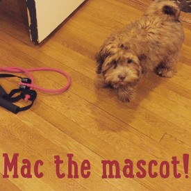 1173062_1091020680931443_650010647_n