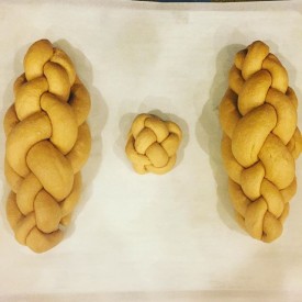 12269810_336824646441690_1410598141_n