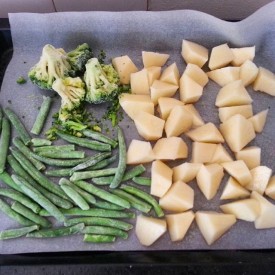 12317886_457324331125205_670063264_n