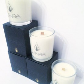 12338732_702364396545431_1092751336_n