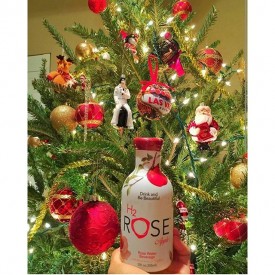 12346148_1731053677124402_1325576586_n