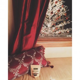 12362267_444107839115697_1843792897_n