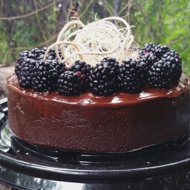 12362422_1698073743771130_1993643920_n