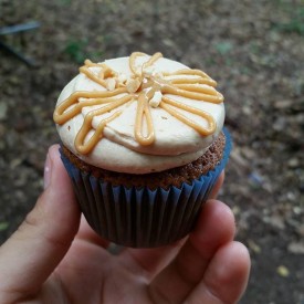 12394178_211080795891248_1032893261_n