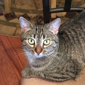 926914_757435541056117_881981662_n