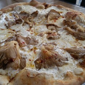 10597450_467366183465410_796228181_n