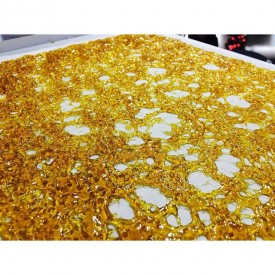 10729384_1541400306185717_241478990_n