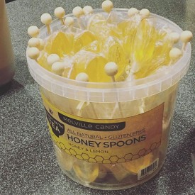 12424388_945105805579668_236317950_n