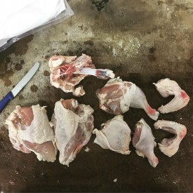 12424604_246634385667660_1538113601_n