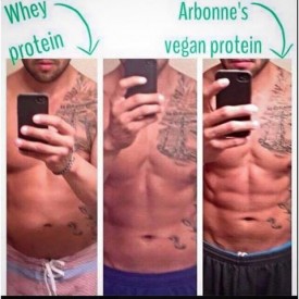 12445988_1517914338509230_988088833_n