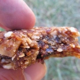 12479174_1546464559003156_172999185_n