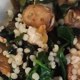 12479209_200846076935376_105554569_n