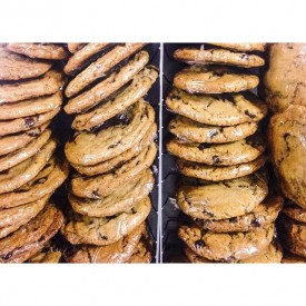 12501712_1021860067879400_1861269668_n