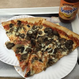 12519148_948519421864524_919850298_n