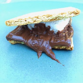 12523554_1035128219880444_1676816228_n