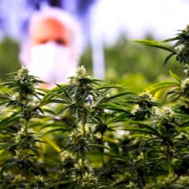 12534358_171721336525590_705551323_n