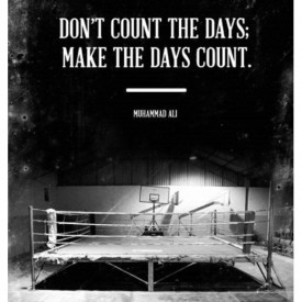 12543322_1556360938017556_1944667031_n