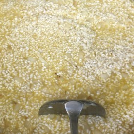 12543391_1669720886616211_1357276432_n