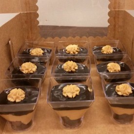 12555956_1734565946779497_1358946914_n