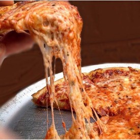 12558284_1541970709435972_536369731_n