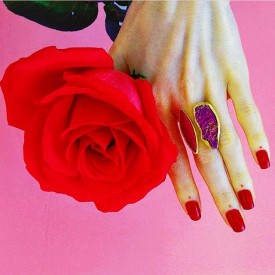 12558866_625051007633145_710086486_n