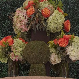 12568974_1665576387045834_1826256101_n