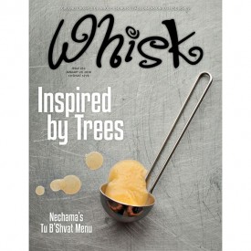 12599062_1541297126197235_1214242402_n