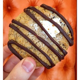 12628077_1662453117368082_334042609_n