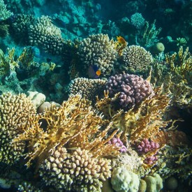 915701_1691181944490774_1030944802_n