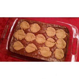 917947_468179490059812_1518209611_n