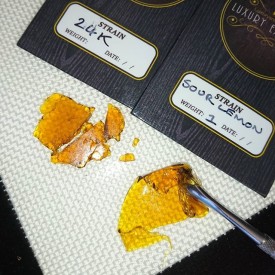 918253_1731374497094705_135356211_n