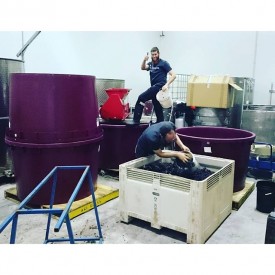 12519494_1705534506396591_1810838239_n