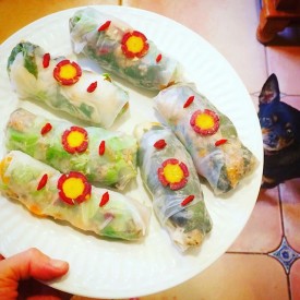 12530756_922044601244397_551423484_n