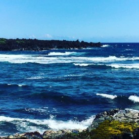 12545255_964312656976105_1634728049_n