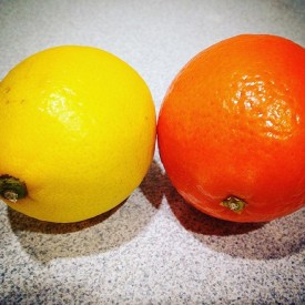 12556017_442278672644988_632718899_n